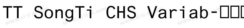 TT SongTi CHS Variab字体转换